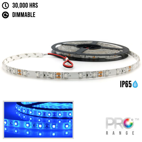 XE PRO 24V 5M Flexible LED Strip Lighting - 60LED/M 3528 SMD IP65 Blue