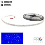 XE-PRO-24V-5M-Flexible-LED-Strip-Lighting---60LED-M-3528-SMD-IP20-Blue