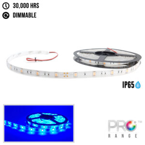 XE PRO 24V 5M Flexible LED Strip Lighting - 30LED/M 5050 SMD IP65 ICE BLUE