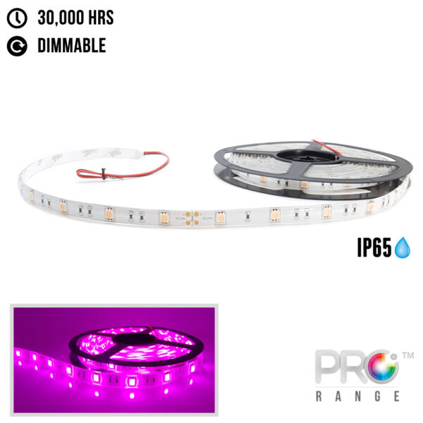 XE PRO 24V 5M Flexible LED Strip Lighting - 30LED/M 5050 SMD IP65 PINK