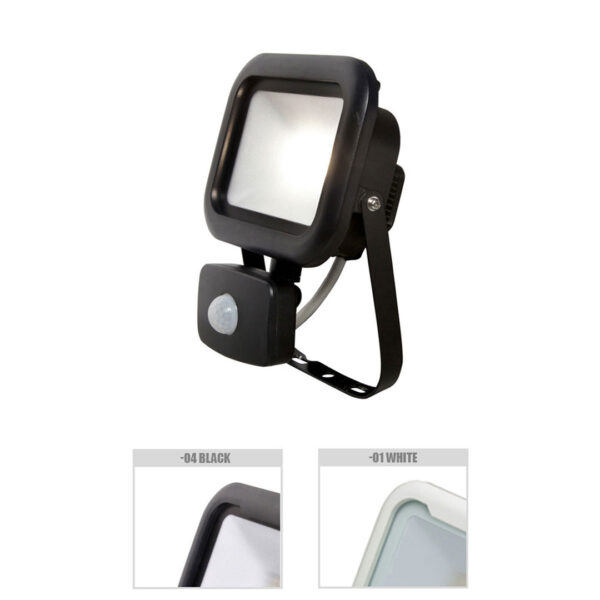 Robus REMY 10W LED FloodLight with PIR